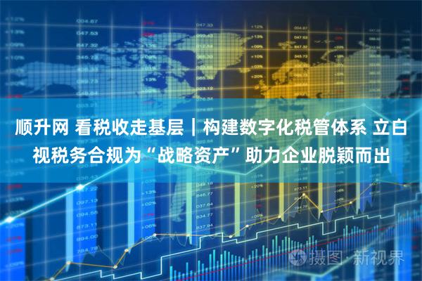 顺升网 看税收走基层｜构建数字化税管体系 立白视税务合规为“战略资产”助力企业脱颖而出