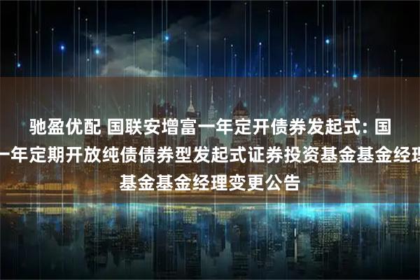 驰盈优配 国联安增富一年定开债券发起式: 国联安增富一年定期开放纯债债券型发起式证券投资基金基金经理变更公告