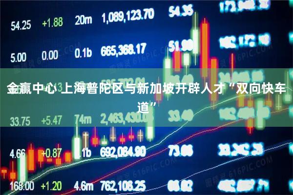 金赢中心 上海普陀区与新加坡开辟人才“双向快车道”