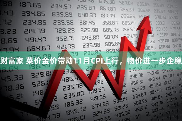 财富家 菜价金价带动11月CPI上行，物价进一步企稳