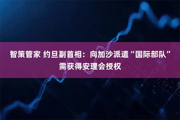 智策管家 约旦副首相：向加沙派遣“国际部队”需获得安理会授权