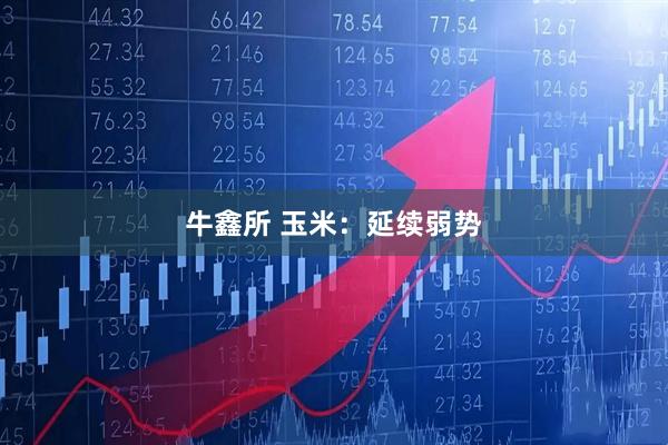 牛鑫所 玉米：延续弱势